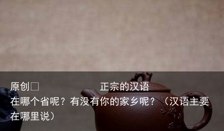 正宗的汉语在哪个省呢？有没有你的家乡呢？