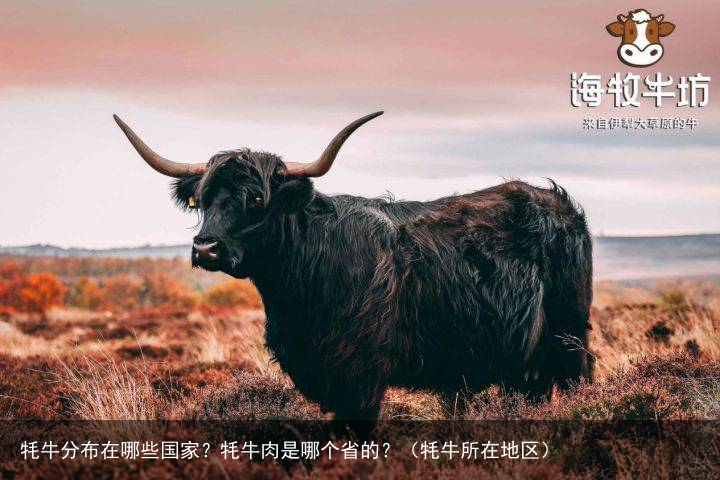 牦牛分布在哪些国家？牦牛肉是哪个省的？（牦牛所在地区）