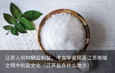 江苏人何时晒盐制盐，考古学家探源江苏地域文明中的盐文化（江苏盐在什么地方）