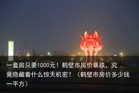 一套房只要1000元！鹤壁市房价暴跌，究竟隐藏着什么惊天机密？（鹤壁市房价多少钱一平方）