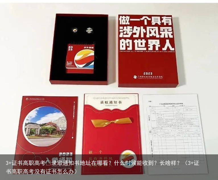 3+证书高职高考 录取通知书地址在哪看？什么时候能收到？长啥样？（3+证书高职高考没有证书怎么办）