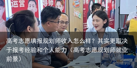 高考志愿填报规划师收入怎么样？其实更取决于报考经验和个人能力（高考志愿规划师就业前景）