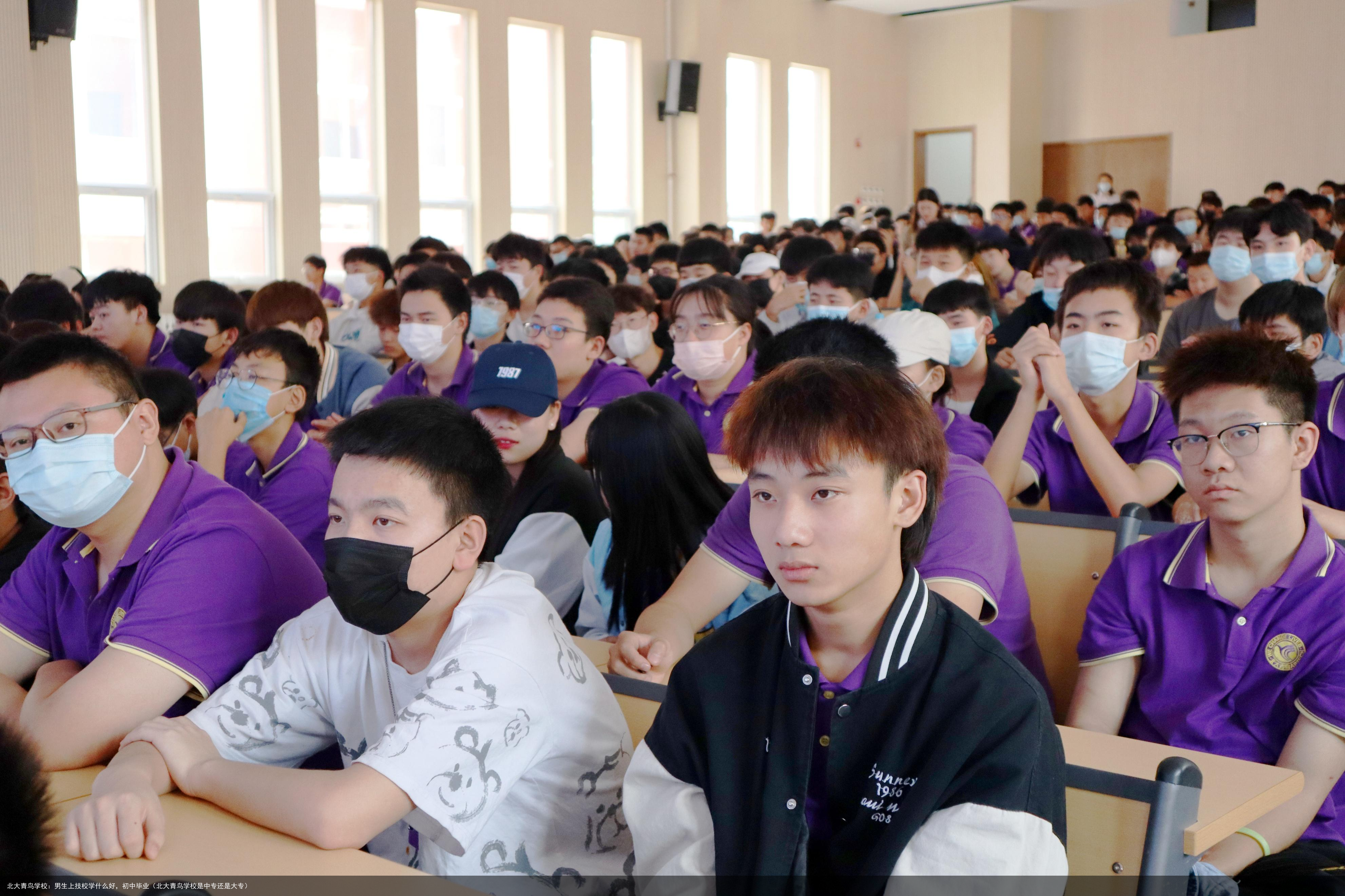 北大青鸟学校：男生上技校学什么好，初中毕业（北大青鸟学校是中专还是大专）