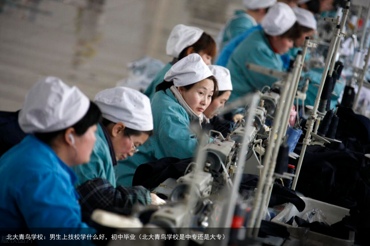 北大青鸟学校：男生上技校学什么好，初中毕业（北大青鸟学校是中专还是大专）