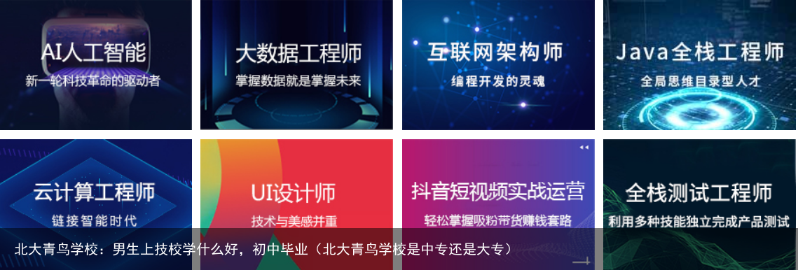 北大青鸟学校：男生上技校学什么好，初中毕业（北大青鸟学校是中专还是大专）