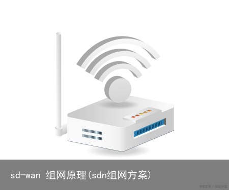 sd-wan 组网原理(sdn组网方案)