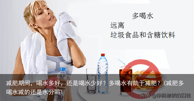 减肥期间，喝水多好，还是喝水少好？多喝水有助于减肥？(减肥多喝水减的还是水分吗)