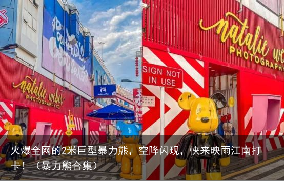 火爆全网的2米巨型暴力熊，空降闪现，快来映雨江南打卡！（暴力熊合集）