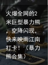 火爆全网的2米巨型暴力熊，空降闪现，快来映雨江南打卡！（暴力熊合集）