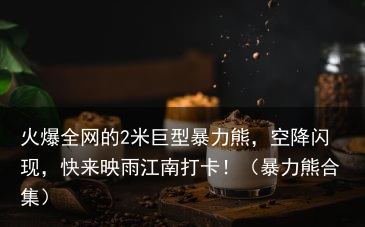 火爆全网的2米巨型暴力熊，空降闪现，快来映雨江南打卡！（暴力熊合集）