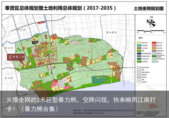 火爆全网的2米巨型暴力熊，空降闪现，快来映雨江南打卡！（暴力熊合集）