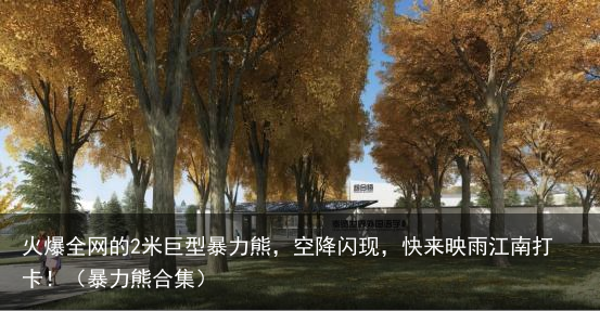 火爆全网的2米巨型暴力熊，空降闪现，快来映雨江南打卡！（暴力熊合集）