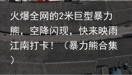 火爆全网的2米巨型暴力熊，空降闪现，快来映雨江南打卡！（暴力熊合集）