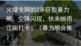 火爆全网的2米巨型暴力熊，空降闪现，快来映雨江南打卡！（暴力熊合集）