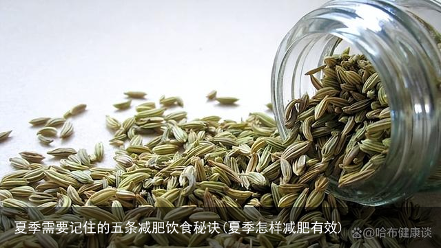 夏季需要记住的五条减肥饮食秘诀(夏季怎样减肥有效)