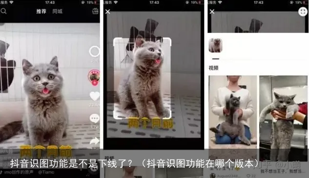 抖音识图功能是不是下线了？（抖音识图功能在哪个版本）