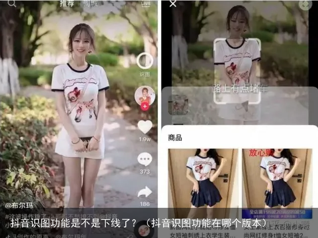 抖音识图功能是不是下线了？（抖音识图功能在哪个版本）
