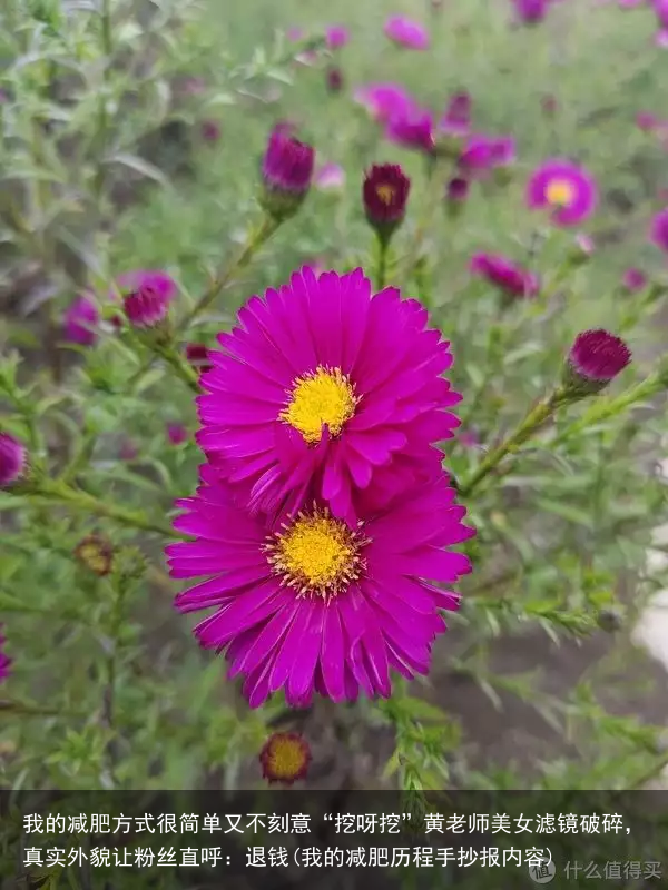 我的减肥方式很简单又不刻意“挖呀挖”黄老师美女滤镜破碎，真实外貌让粉丝直呼：退钱(我的减肥历程手抄报内容)