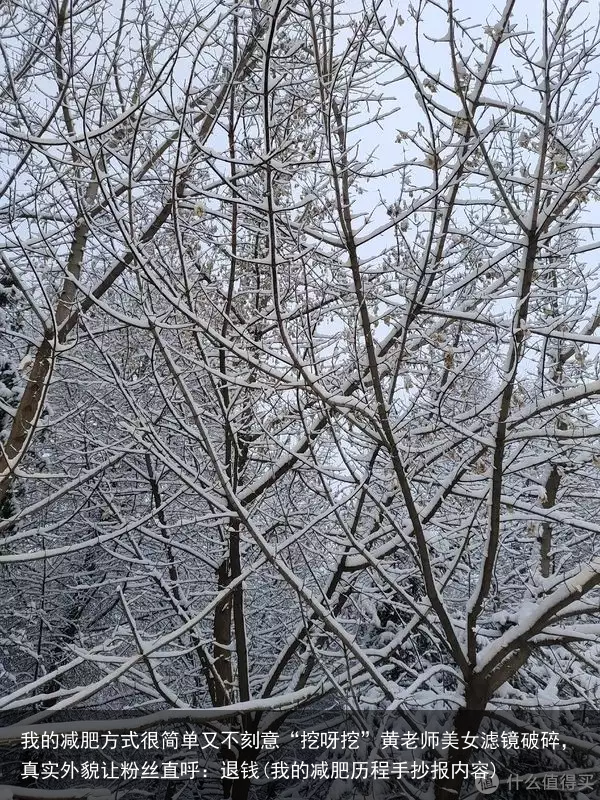 我的减肥方式很简单又不刻意“挖呀挖”黄老师美女滤镜破碎，真实外貌让粉丝直呼：退钱(我的减肥历程手抄报内容)