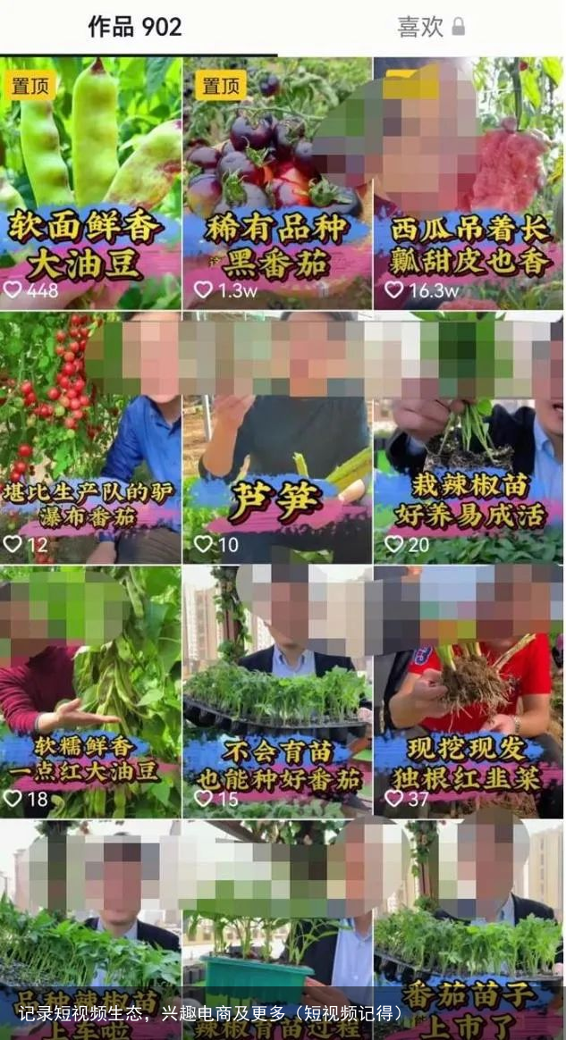 记录短视频生态，兴趣电商及更多（短视频记得）