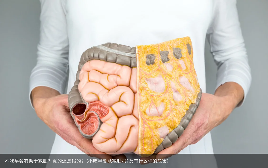 不吃早餐有助于减肥？真的还是假的？(不吃早餐能减肥吗?及有什么样的危害)