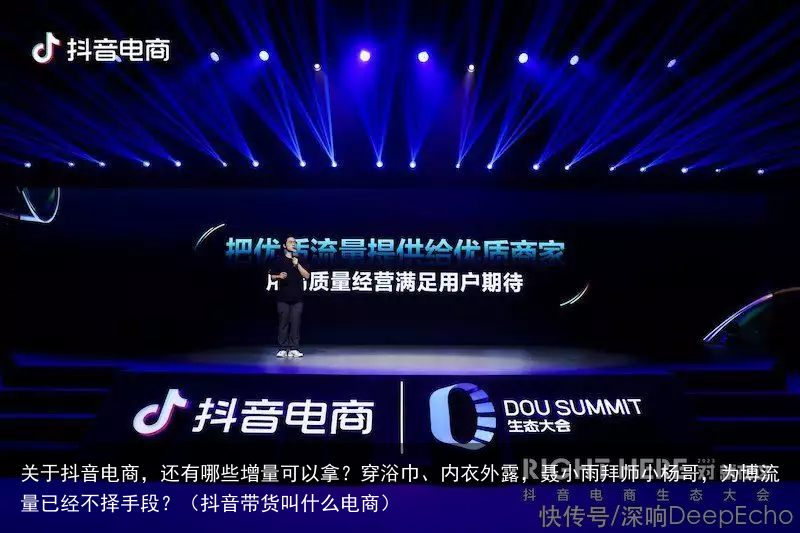 关于抖音电商，还有哪些增量可以拿？（抖音带货叫什么电商）
