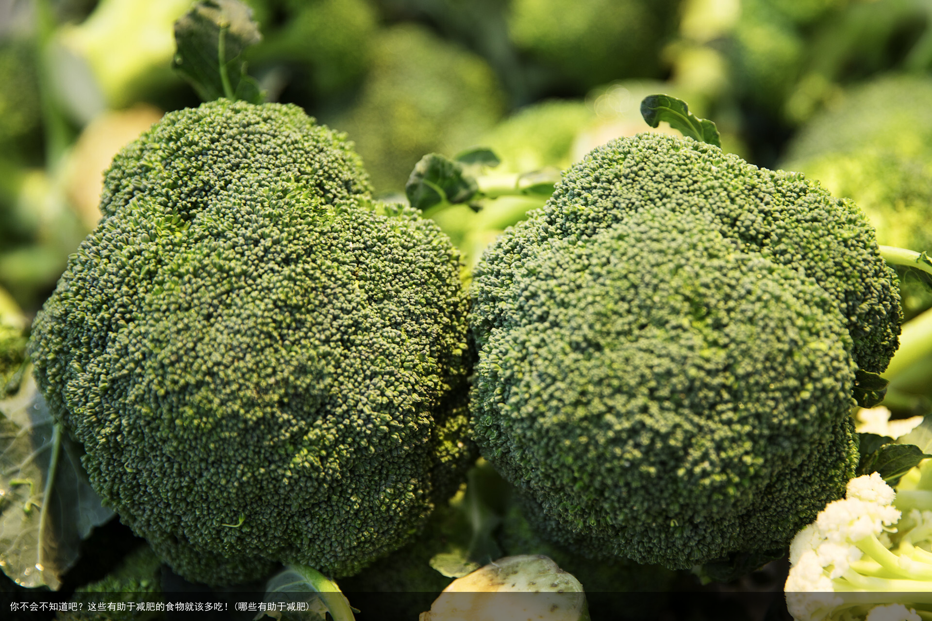 你不会不知道吧？这些有助于减肥的食物就该多吃！(哪些有助于减肥)