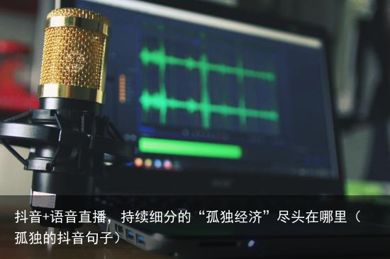 抖音+语音直播，持续细分的“孤独经济”尽头在哪里（孤独的抖音句子）