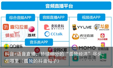 抖音+语音直播，持续细分的“孤独经济”尽头在哪里（孤独的抖音句子）