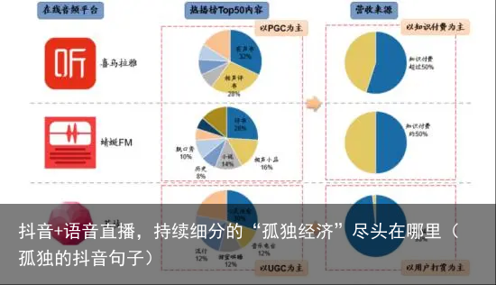抖音+语音直播，持续细分的“孤独经济”尽头在哪里（孤独的抖音句子）