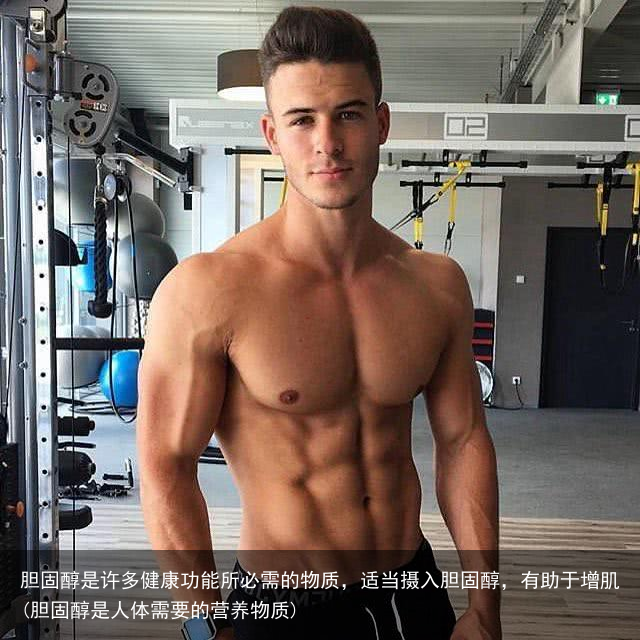 胆固醇是许多健康功能所必需的物质，适当摄入胆固醇，有助于增肌(胆固醇是人体需要的营养物质)