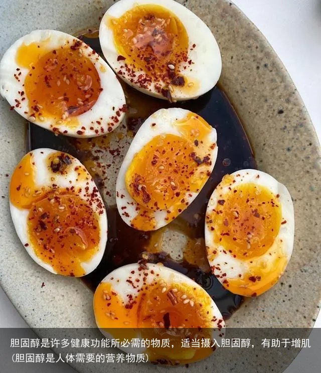 胆固醇是许多健康功能所必需的物质，适当摄入胆固醇，有助于增肌(胆固醇是人体需要的营养物质)