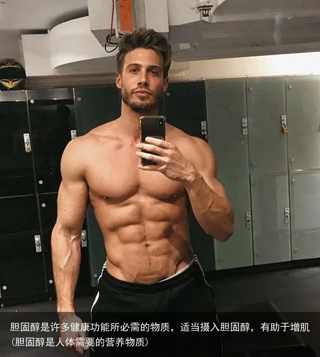 胆固醇是许多健康功能所必需的物质，适当摄入胆固醇，有助于增肌(胆固醇是人体需要的营养物质)