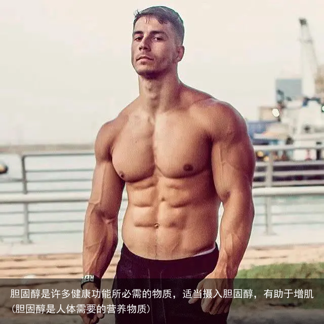 胆固醇是许多健康功能所必需的物质，适当摄入胆固醇，有助于增肌(胆固醇是人体需要的营养物质)