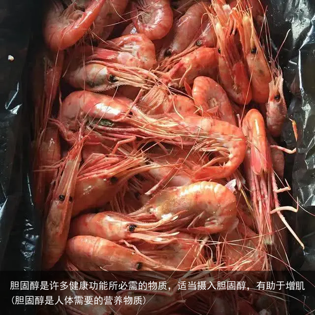 胆固醇是许多健康功能所必需的物质，适当摄入胆固醇，有助于增肌(胆固醇是人体需要的营养物质)