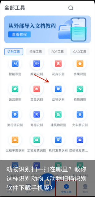 动物识别扫一扫在哪里？教你这样识别动物（动物扫描识别软件下载手机版）