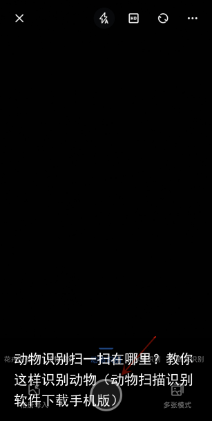 动物识别扫一扫在哪里？教你这样识别动物（动物扫描识别软件下载手机版）