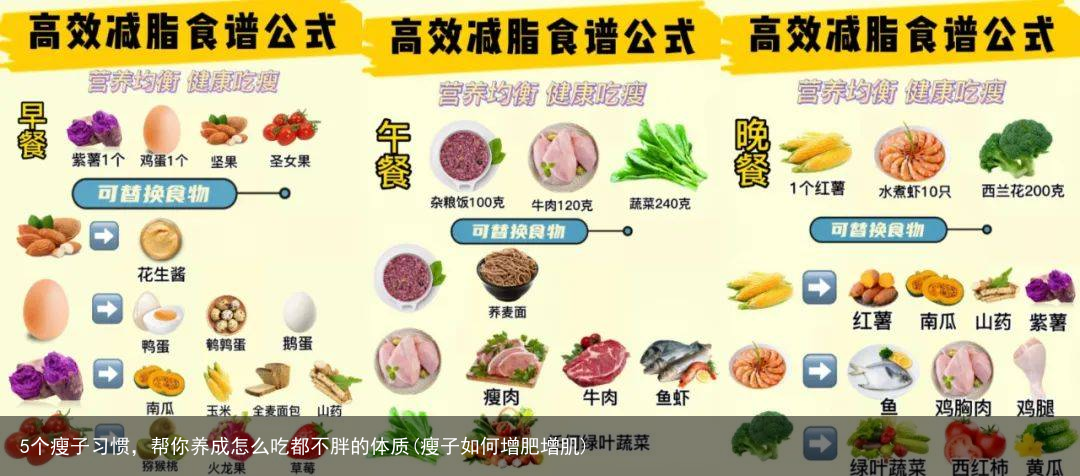 5个瘦子习惯，帮你养成怎么吃都不胖的体质(瘦子如何增肥增肌)