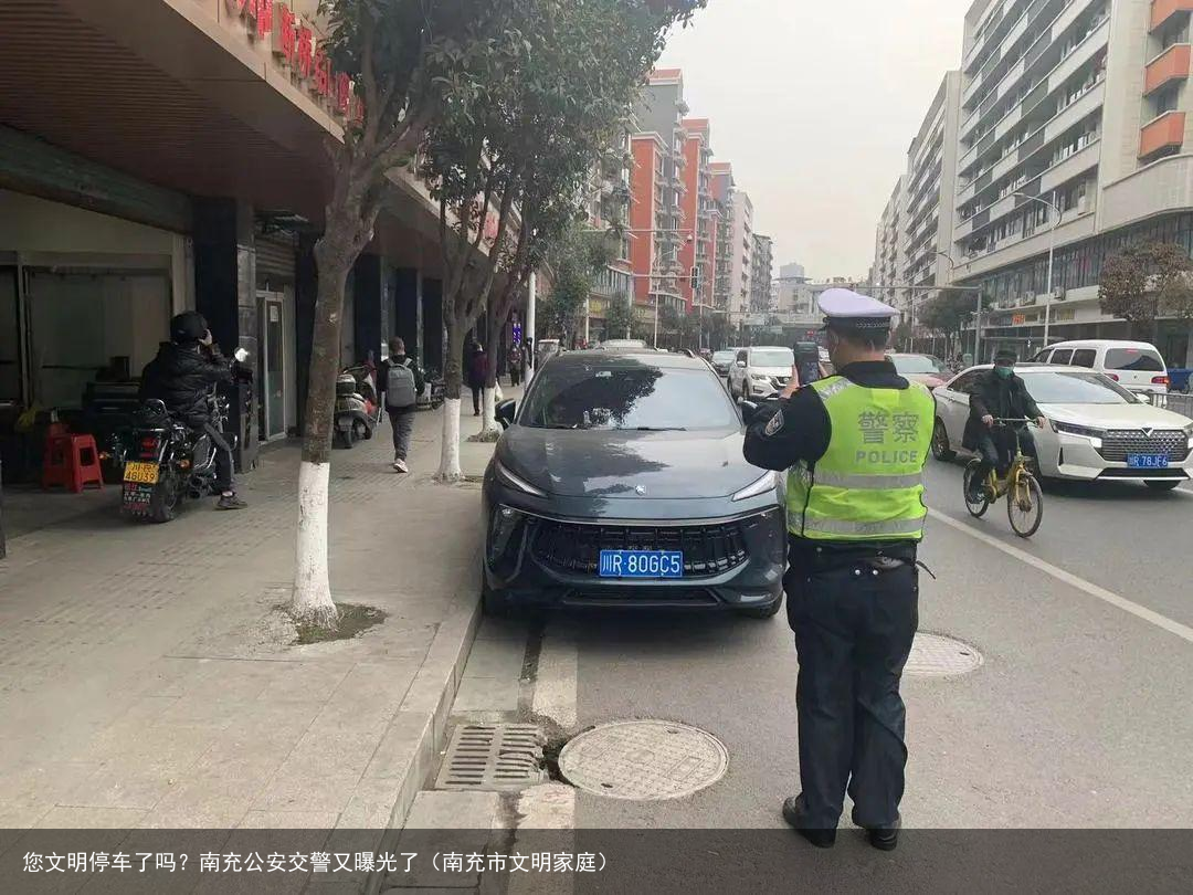 您文明停车了吗？南充公安交警又曝光了（南充市文明家庭）