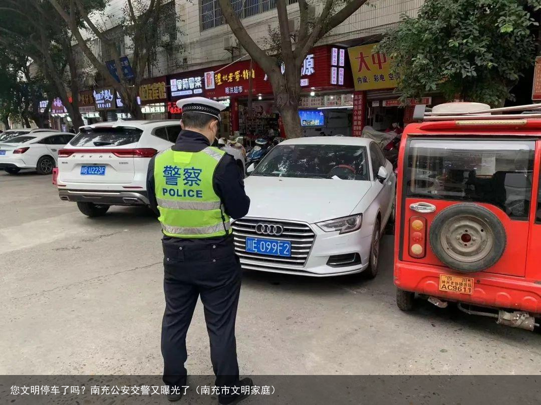 您文明停车了吗？南充公安交警又曝光了（南充市文明家庭）