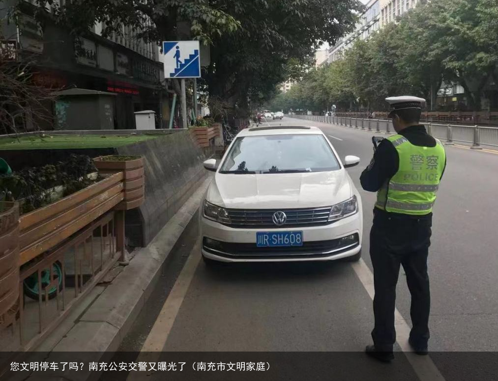 您文明停车了吗？南充公安交警又曝光了（南充市文明家庭）