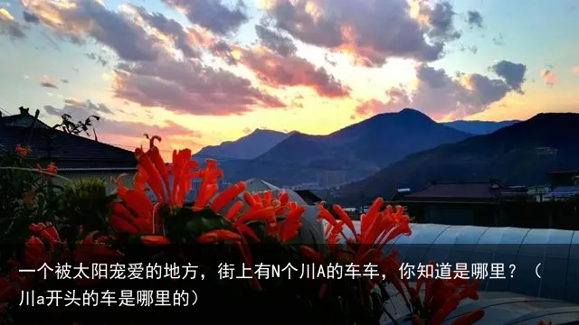 一个被太阳宠爱的地方，街上有N个川A的车车，你知道是哪里？（川a开头的车是哪里的）