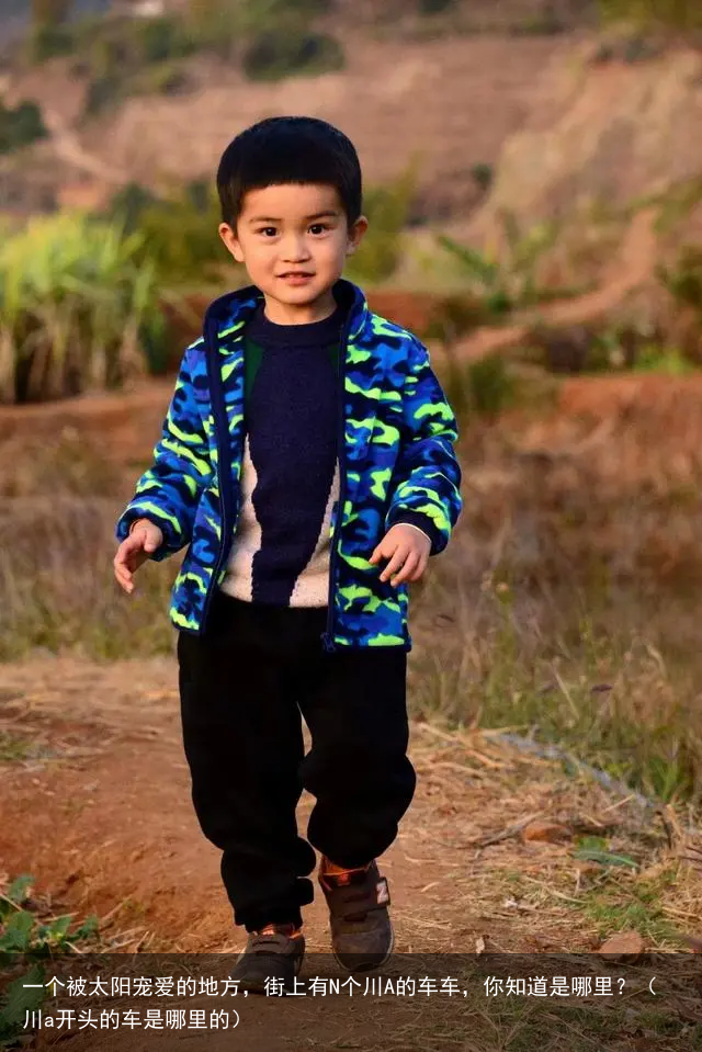 一个被太阳宠爱的地方，街上有N个川A的车车，你知道是哪里？（川a开头的车是哪里的）