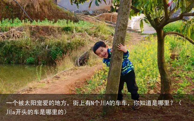 一个被太阳宠爱的地方，街上有N个川A的车车，你知道是哪里？（川a开头的车是哪里的）