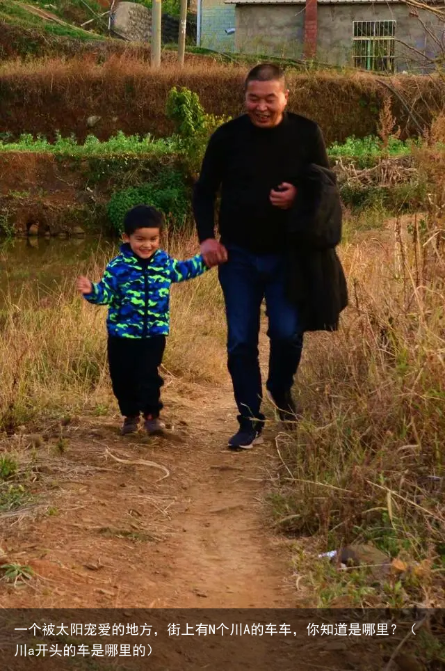 一个被太阳宠爱的地方，街上有N个川A的车车，你知道是哪里？（川a开头的车是哪里的）