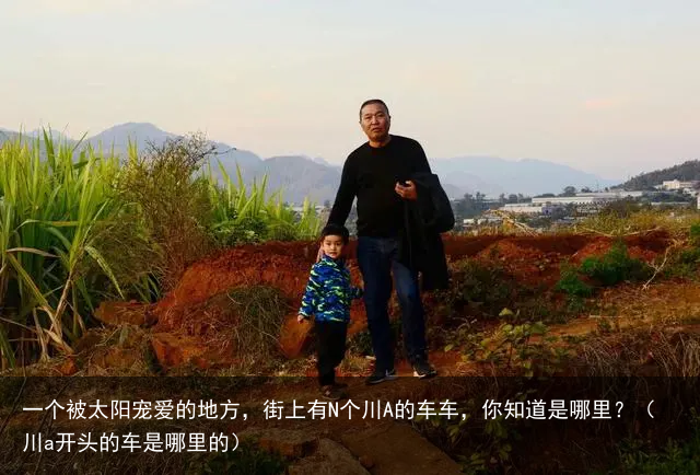 一个被太阳宠爱的地方，街上有N个川A的车车，你知道是哪里？（川a开头的车是哪里的）