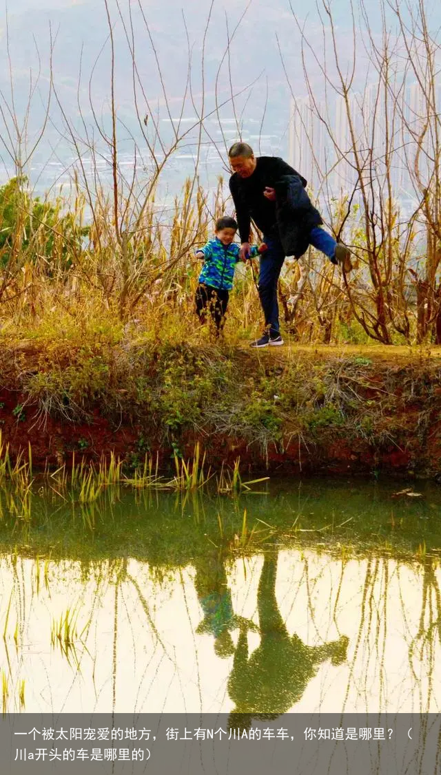 一个被太阳宠爱的地方，街上有N个川A的车车，你知道是哪里？（川a开头的车是哪里的）