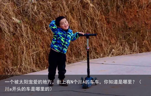 一个被太阳宠爱的地方，街上有N个川A的车车，你知道是哪里？（川a开头的车是哪里的）