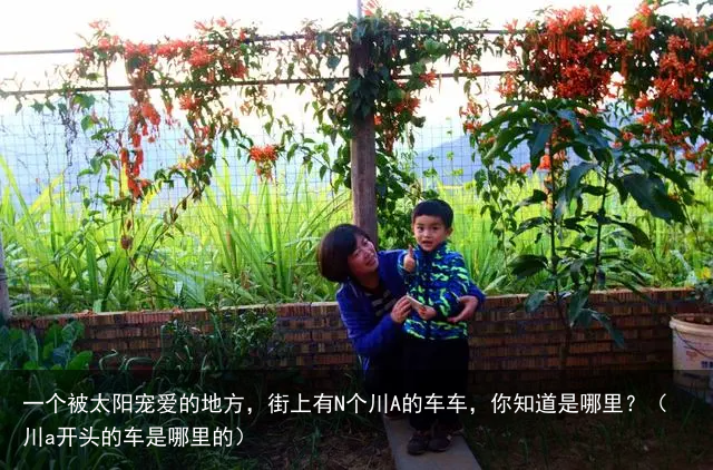 一个被太阳宠爱的地方，街上有N个川A的车车，你知道是哪里？（川a开头的车是哪里的）
