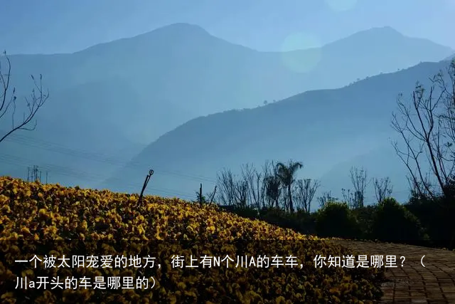 一个被太阳宠爱的地方，街上有N个川A的车车，你知道是哪里？（川a开头的车是哪里的）